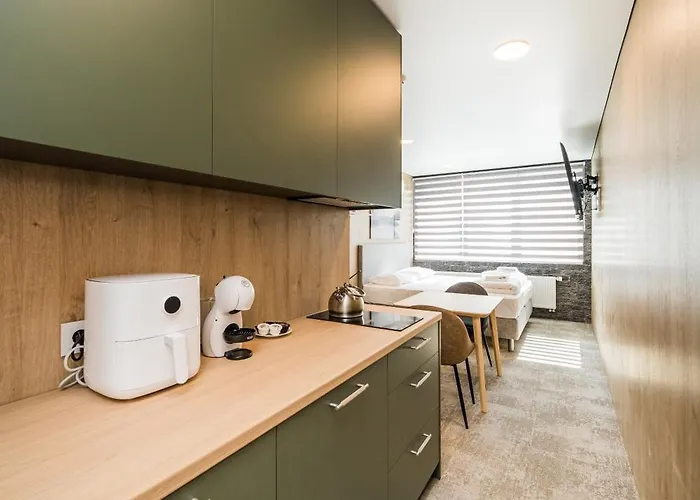 Apart-hotel Zaliakalnio Terasos Apartamentai 2